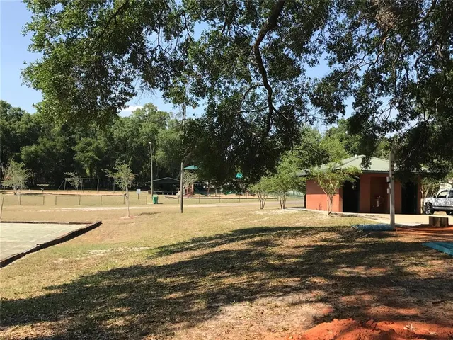 a view of a yard with trees