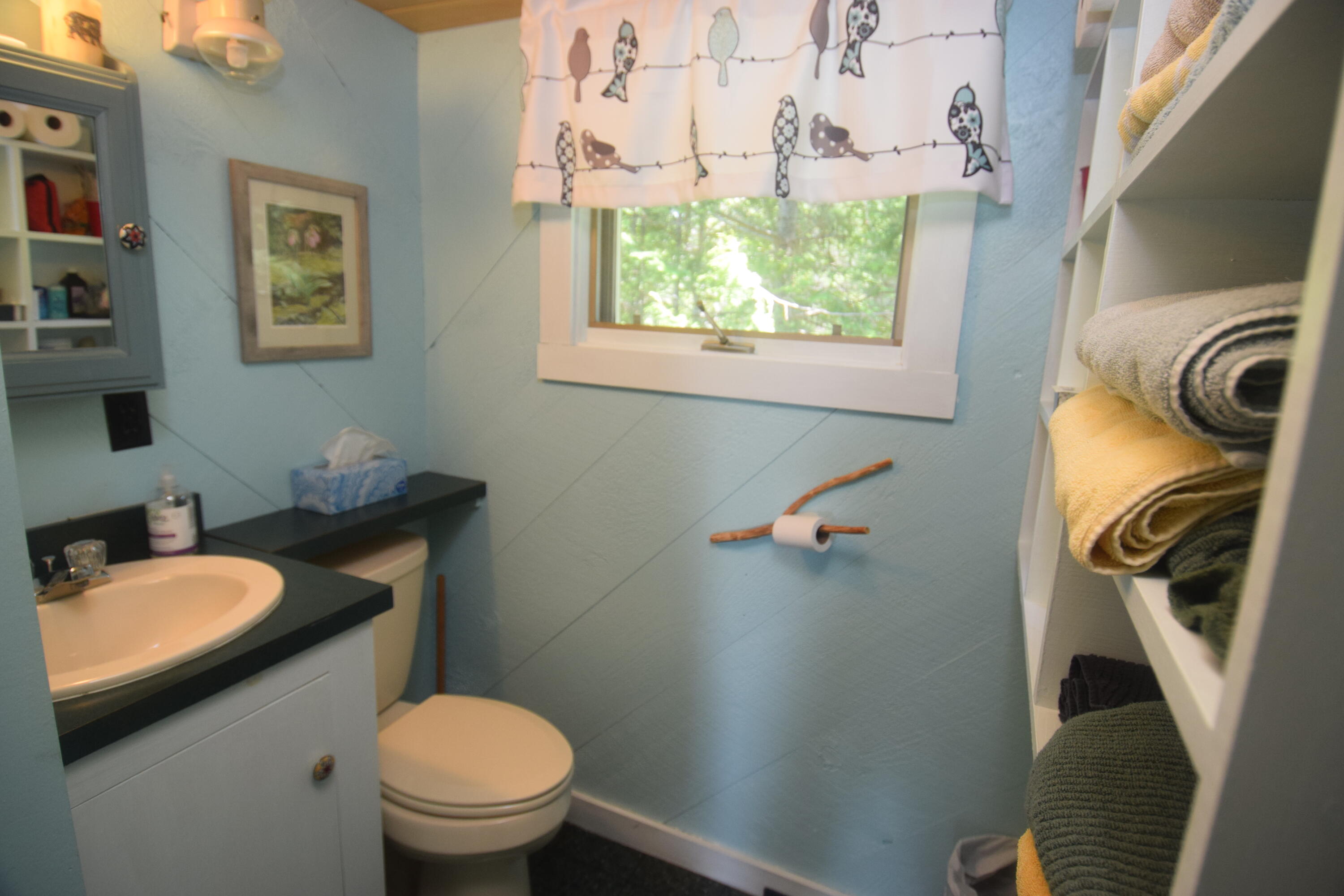 249 Dead End Road West Forks, ME 04985 - Photo 18 of 72 DSC_0033