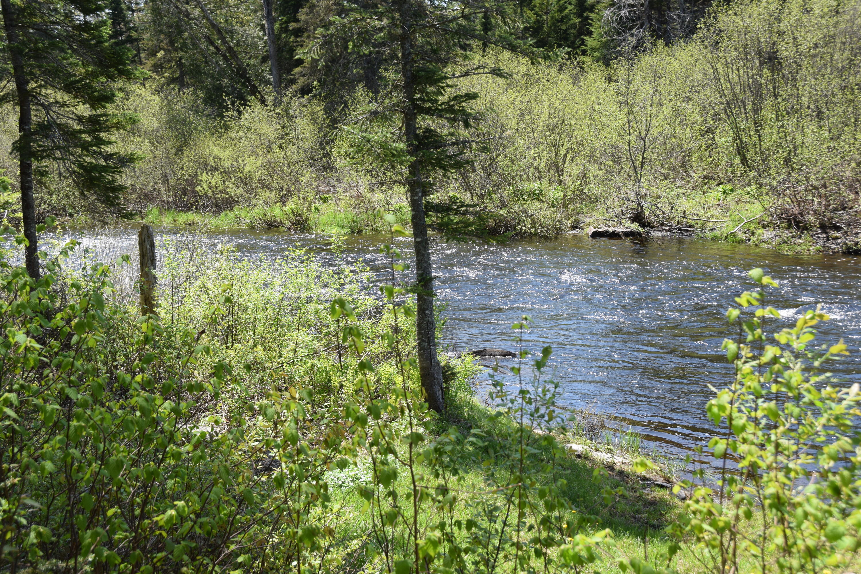 249 Dead End Road West Forks, ME 04985 - Photo 40 of 72 DSC_0010