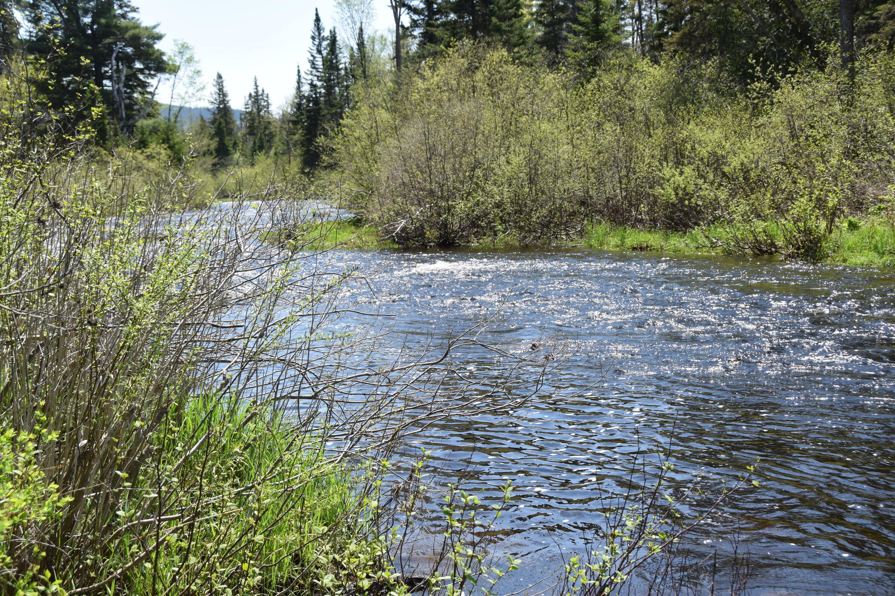 249 Dead End Road West Forks, ME 04985 - Photo 41 of 72 DSC_0011