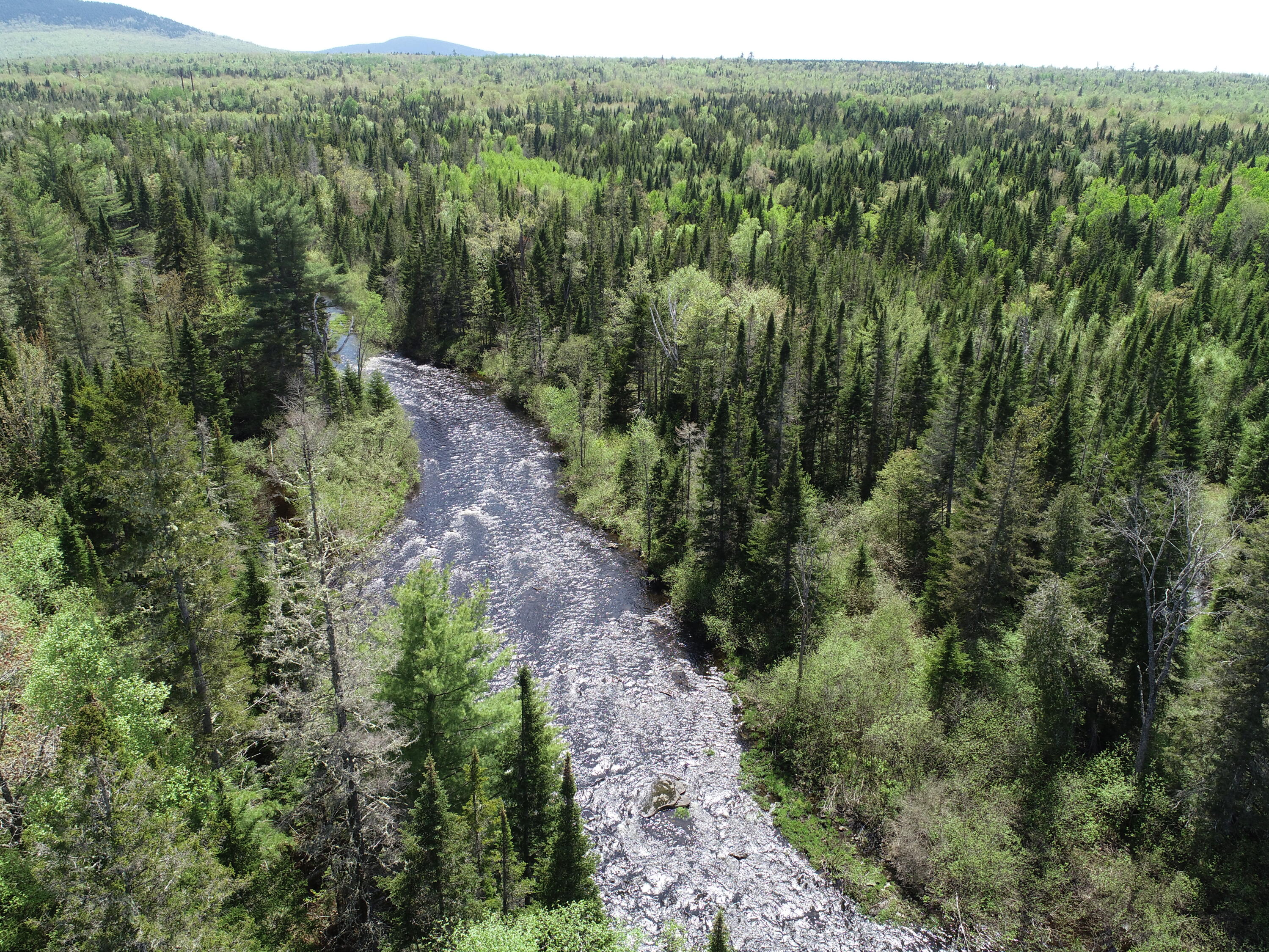 249 Dead End Road West Forks, ME 04985 - Photo 66 of 72 DJI_0006