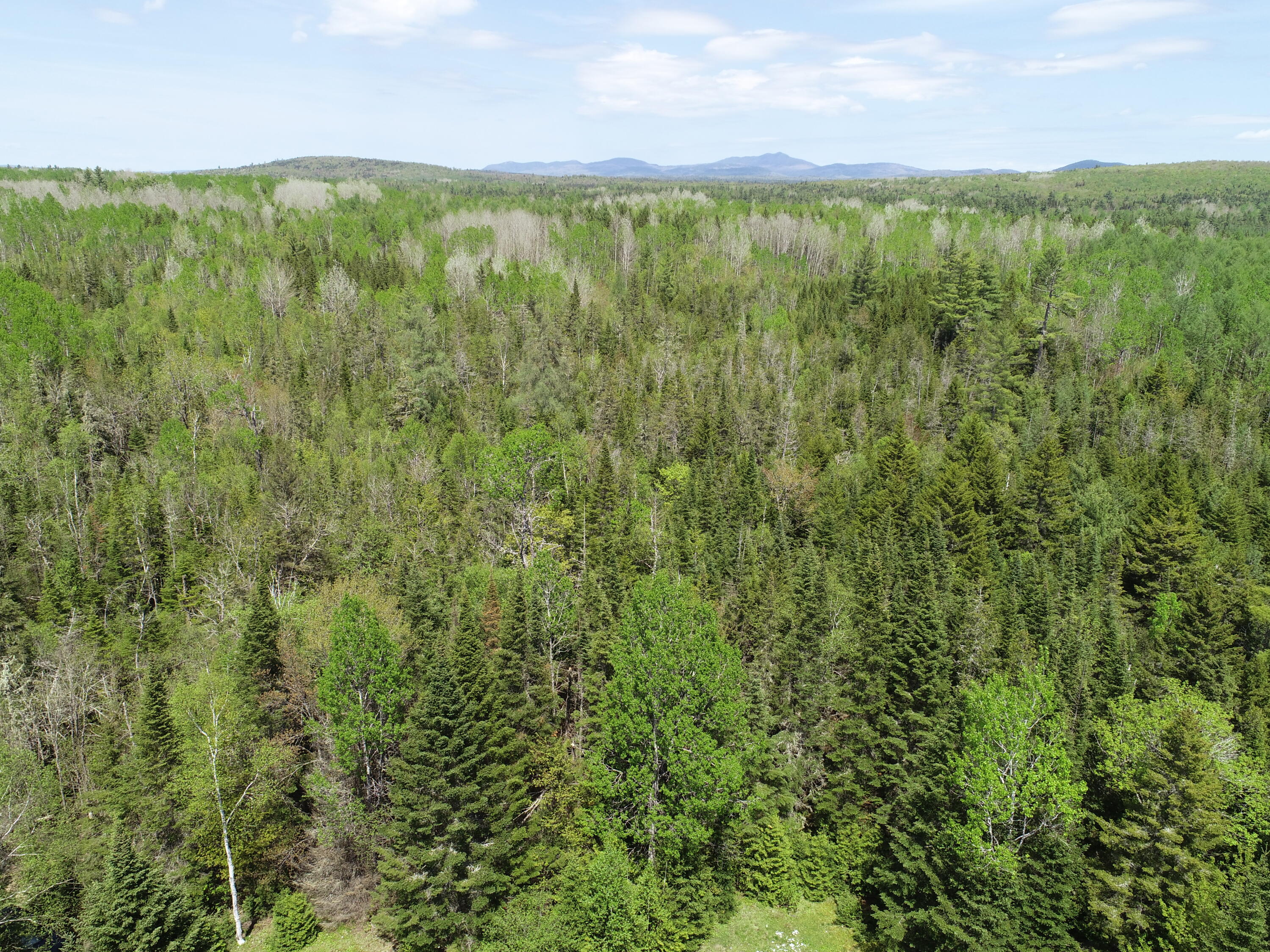 249 Dead End Road West Forks, ME 04985 - Photo 69 of 72 DJI_0019