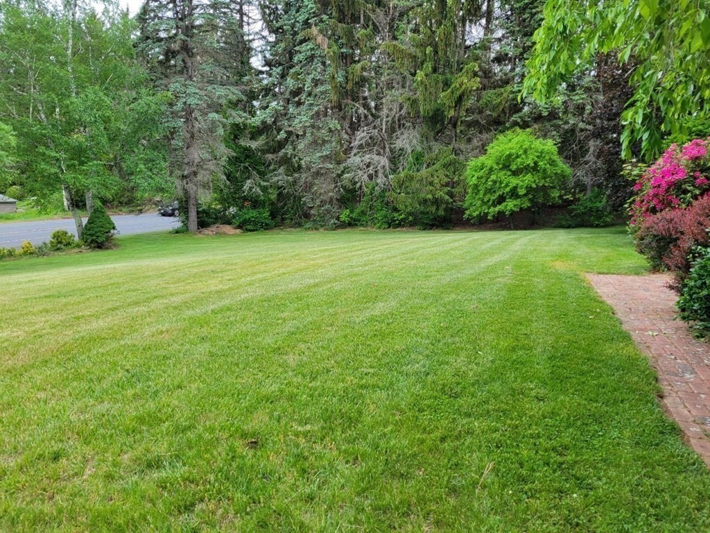 235 Belchertown Road Ware, MA 01082 - Photo 4 of 27 a view of a field of grass and trees