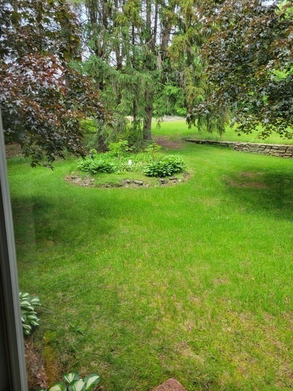 235 Belchertown Road Ware, MA 01082 - Photo 7 of 27 a view of yard with green space