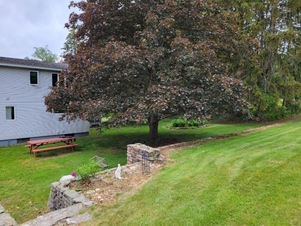 235 Belchertown Road Ware, MA 01082 - Photo 8 of 27 a view of a garden with plants and large trees