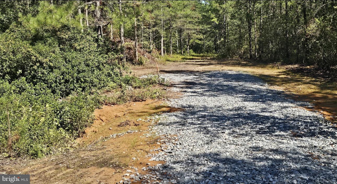0 Pomona Road Colonial Beach, VA 22443 - Photo 11 of 11 Gallery Image 11