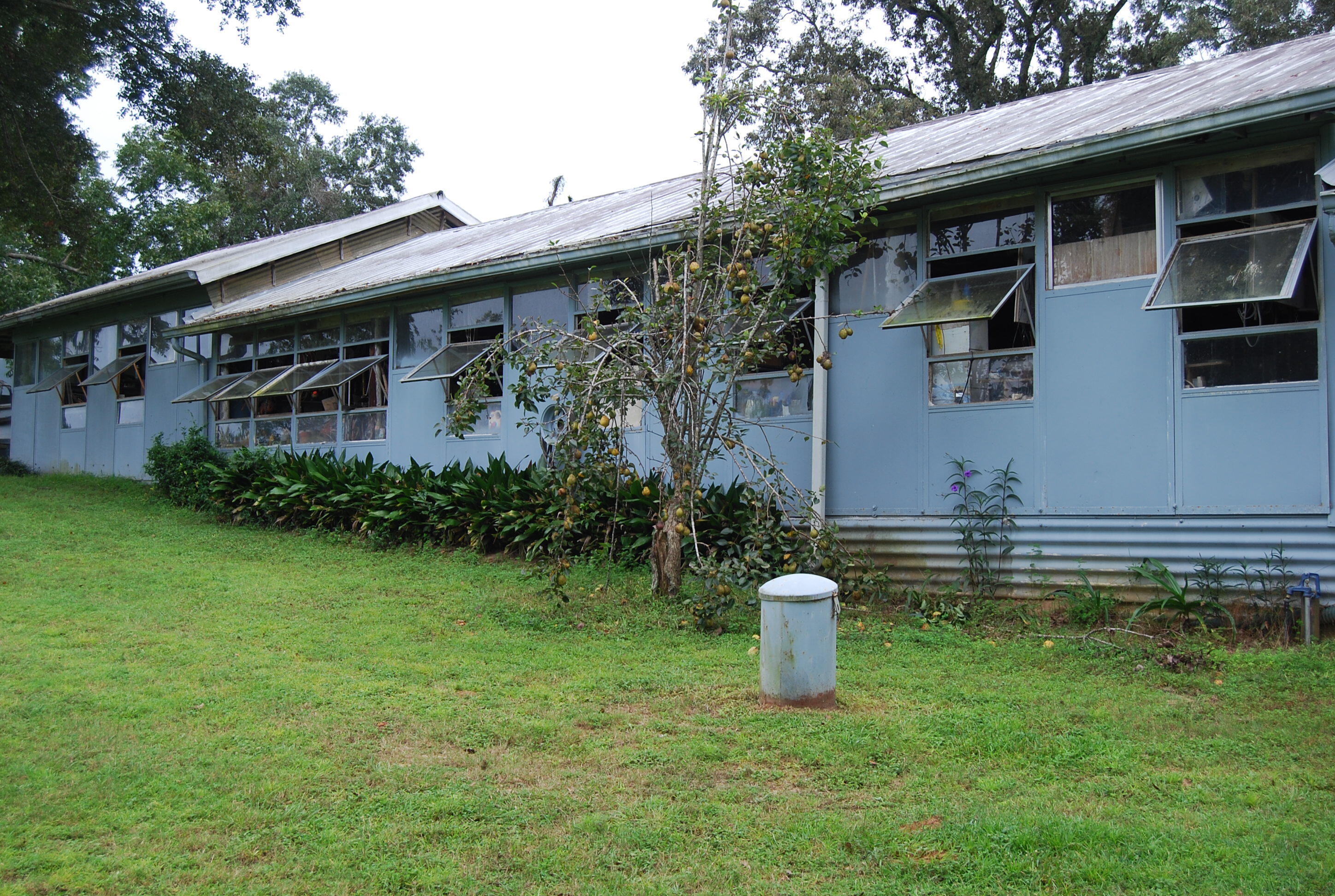 791 Dr Nelson Road DeFuniak Springs, FL 32433 - Photo 27 of 46 a view of a house with a yard plants and large tree