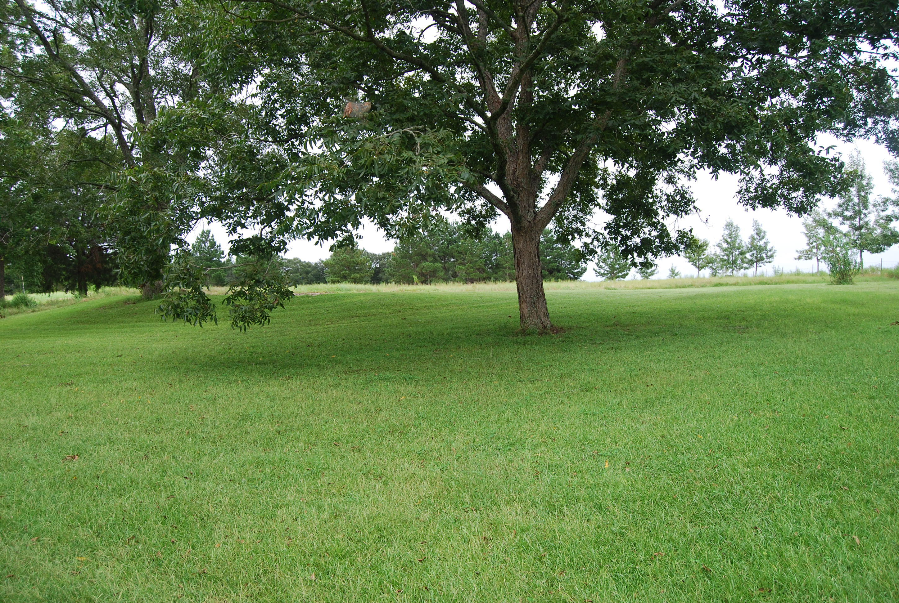 791 Dr Nelson Road DeFuniak Springs, FL 32433 - Photo 42 of 46 a view of field with trees in the background