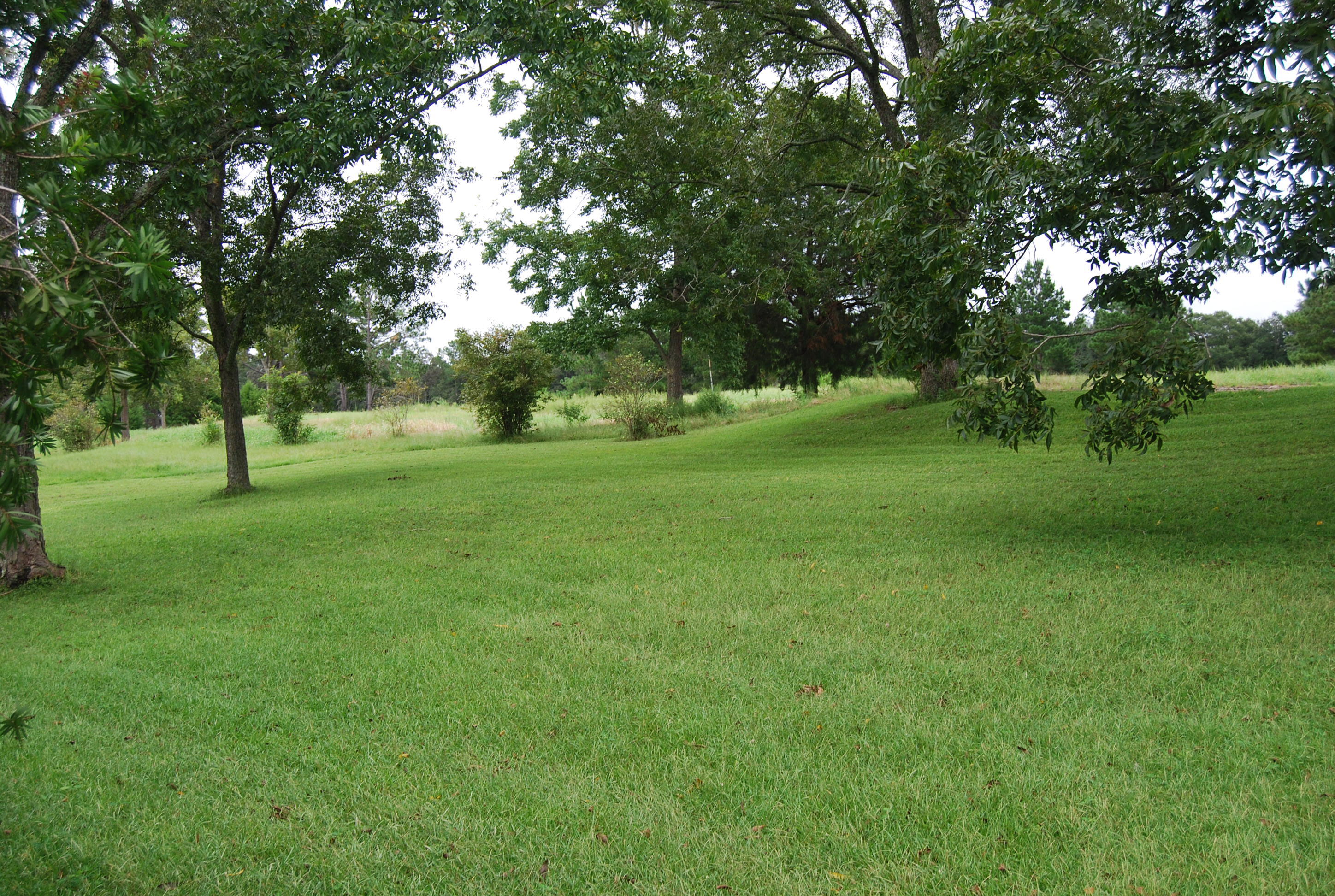791 Dr Nelson Road DeFuniak Springs, FL 32433 - Photo 43 of 46 a view of grassy field with trees
