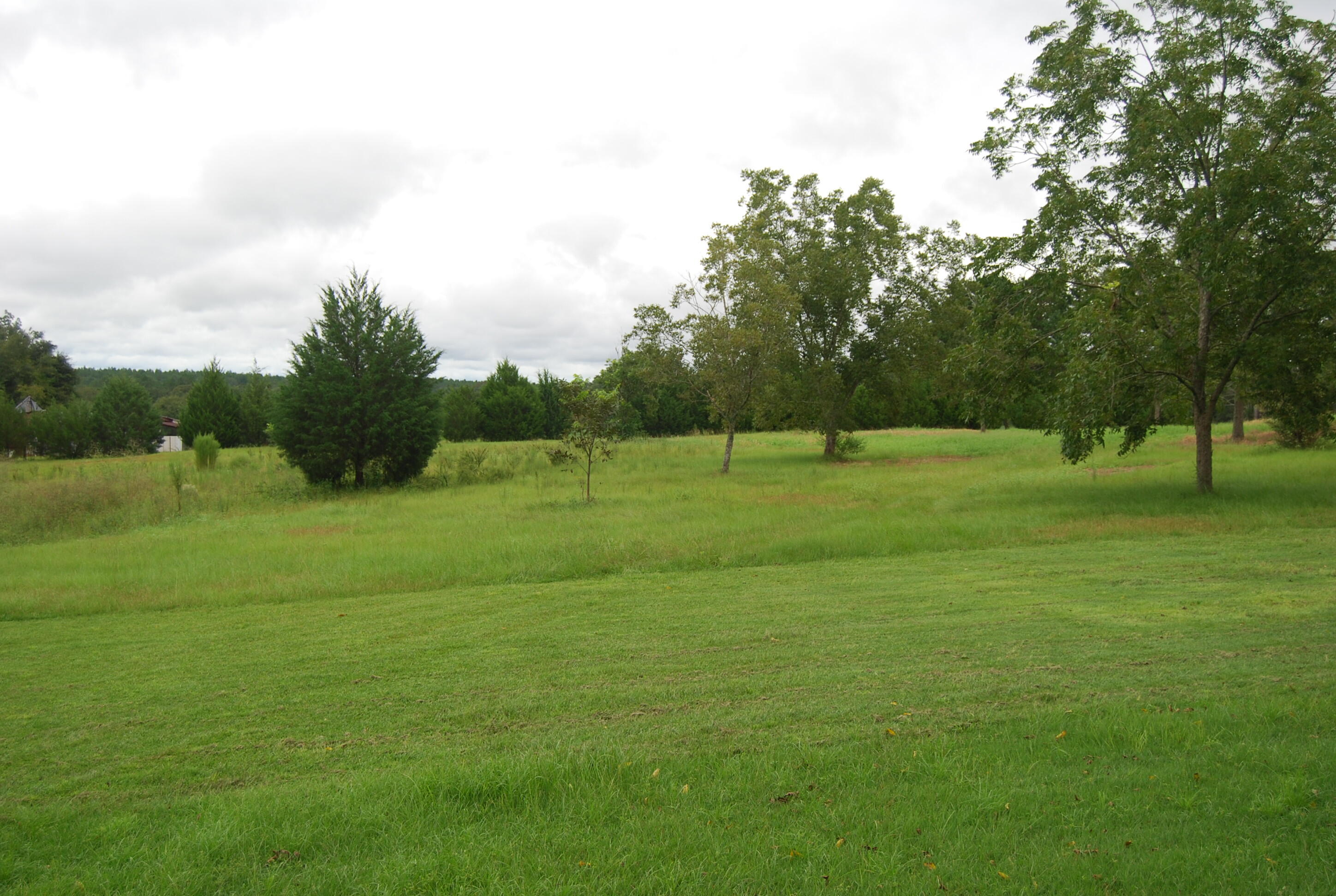 791 Dr Nelson Road DeFuniak Springs, FL 32433 - Photo 44 of 46 a view of a grassy field with trees