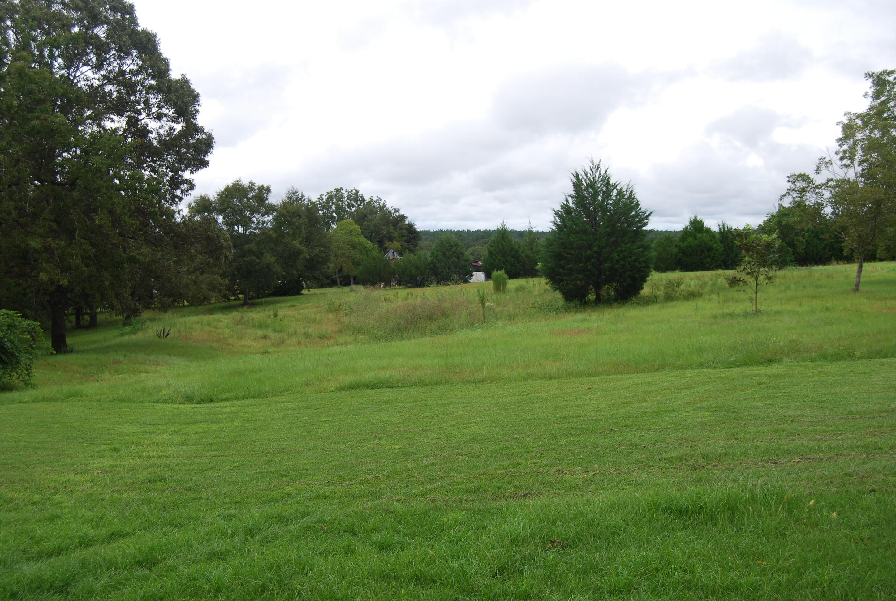 791 Dr Nelson Road DeFuniak Springs, FL 32433 - Photo 45 of 46 a view of field with tall trees