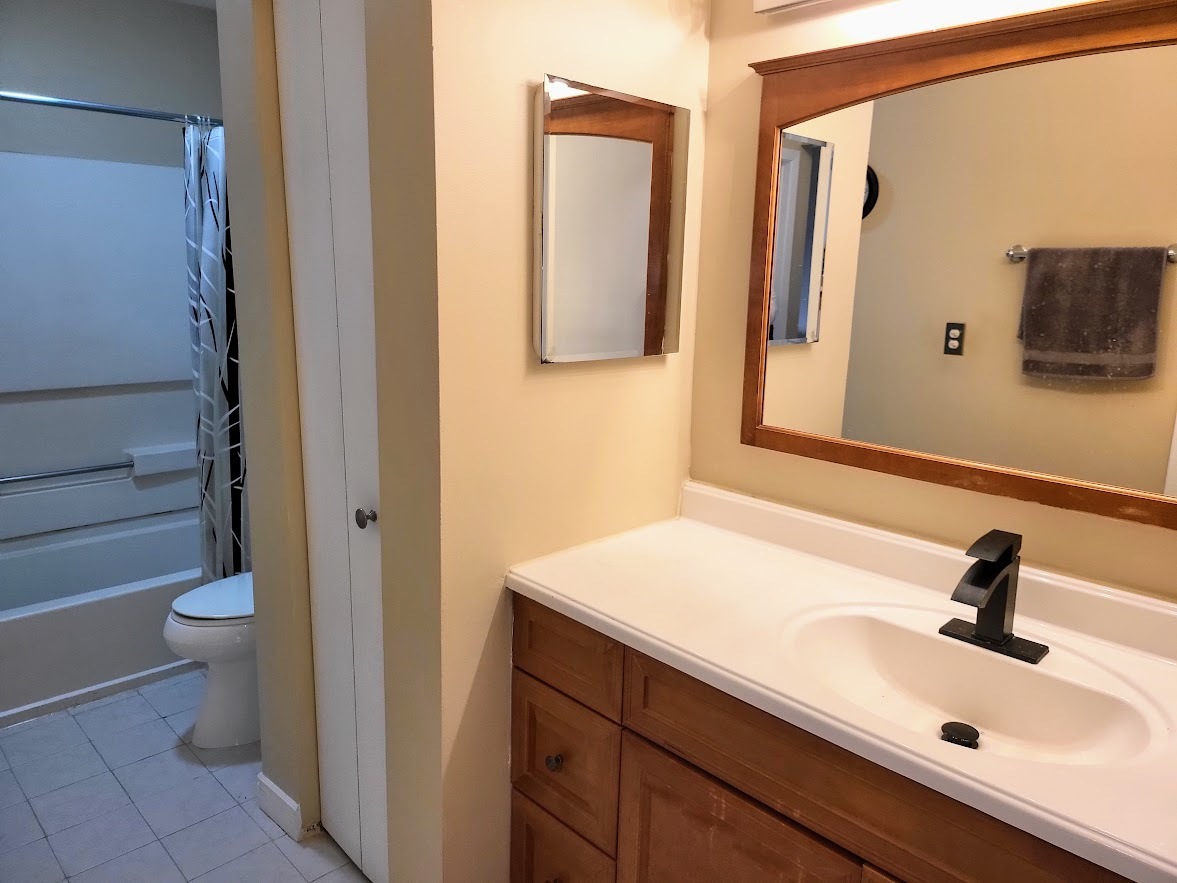 216 Ivy Court Streamwood, IL 60107 - Photo 12 of 14 a bathroom with a sink and a mirror