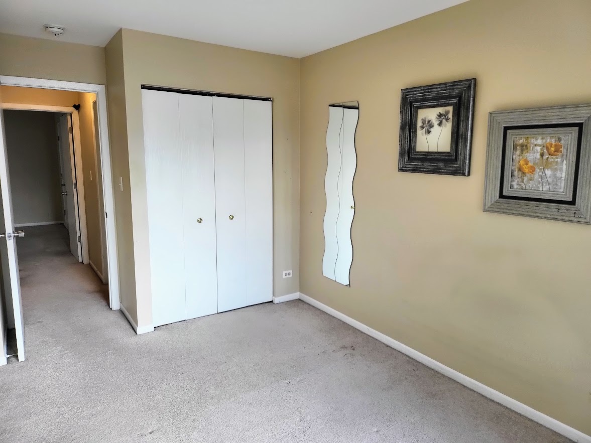 216 Ivy Court Streamwood, IL 60107 - Photo 14 of 14 an empty room with windows and closet