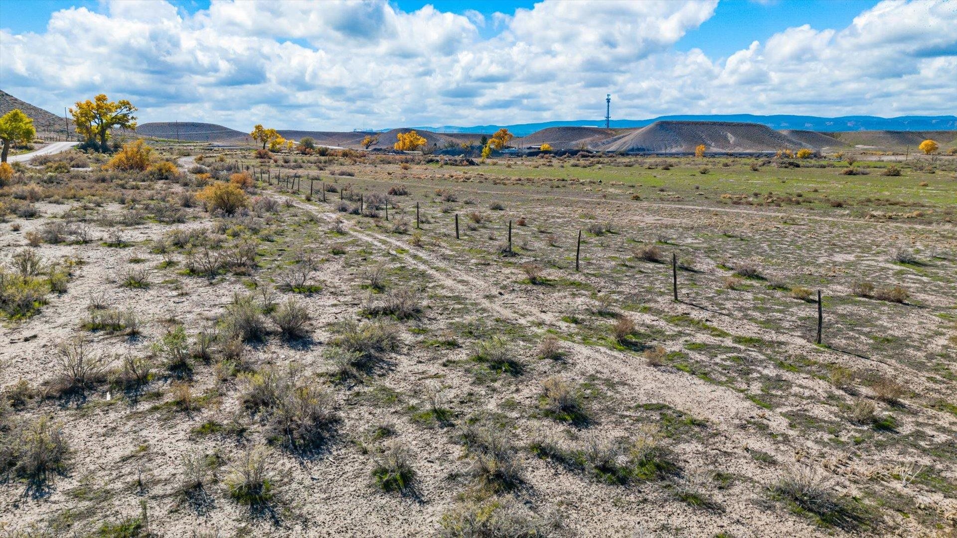 115 30 3/4 Road Grand Junction, CO 81503 - Photo 11 of 14 a view of a big yard with lots of bushes