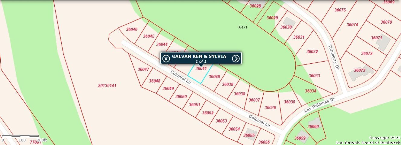 222 Colonial Lane La Vernia, TX 78121 - Photo 32 of 32