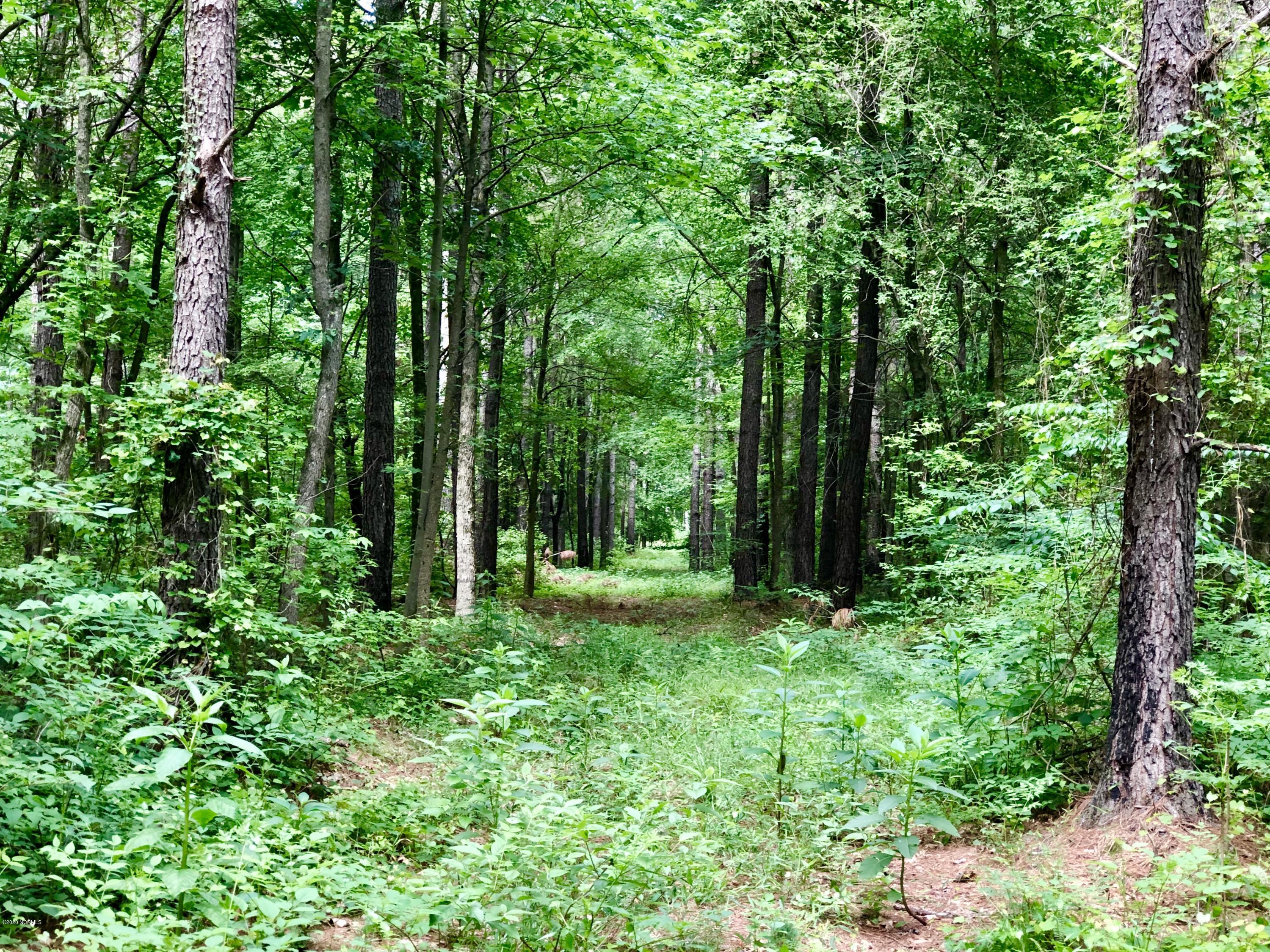 Lot #1 West J Duke Road Rich Square, NC 27869 - Photo 1 of 20 IMG_0345
