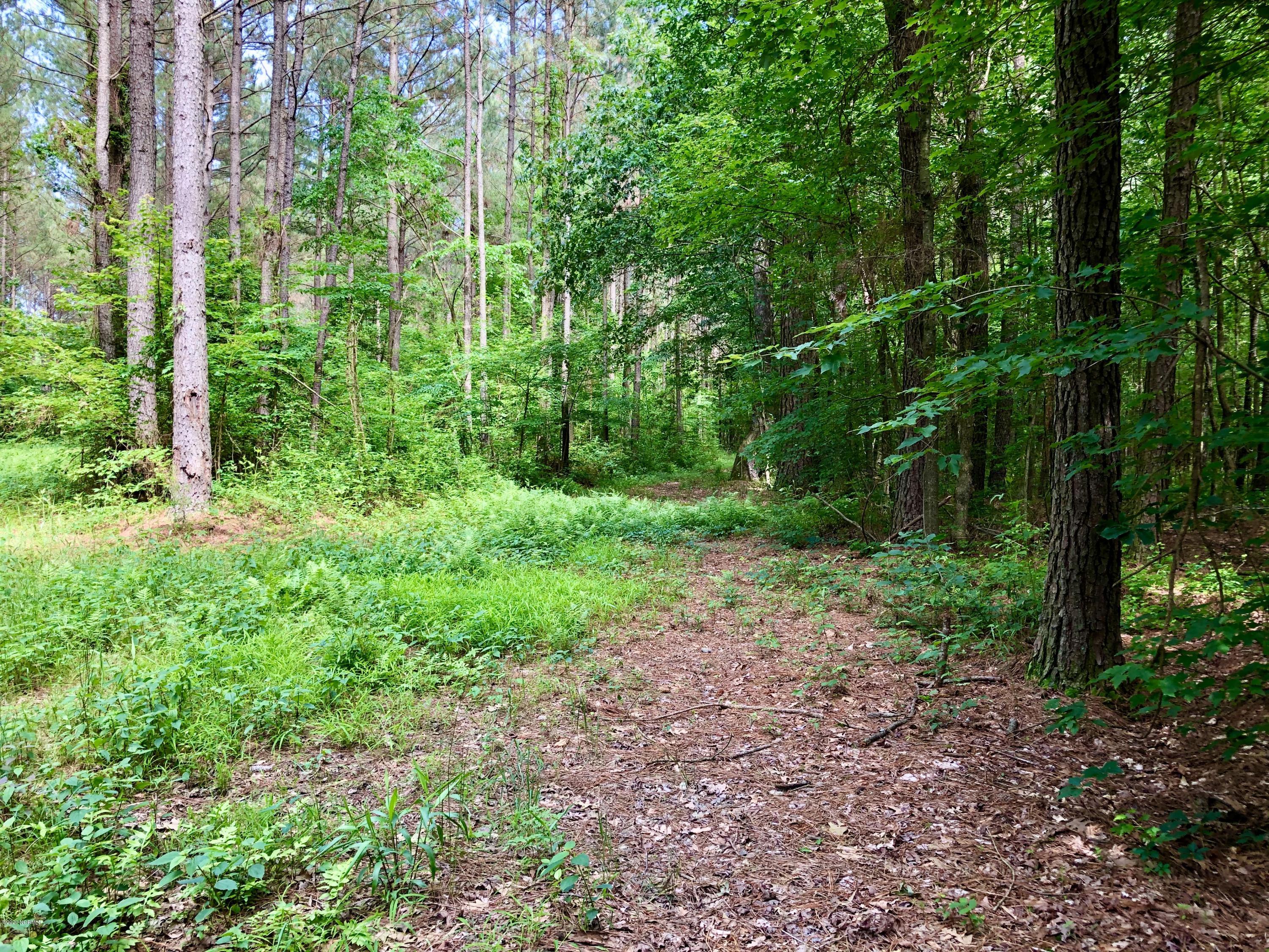 Lot #1 West J Duke Road Rich Square, NC 27869 - Photo 15 of 20 IMG_0351