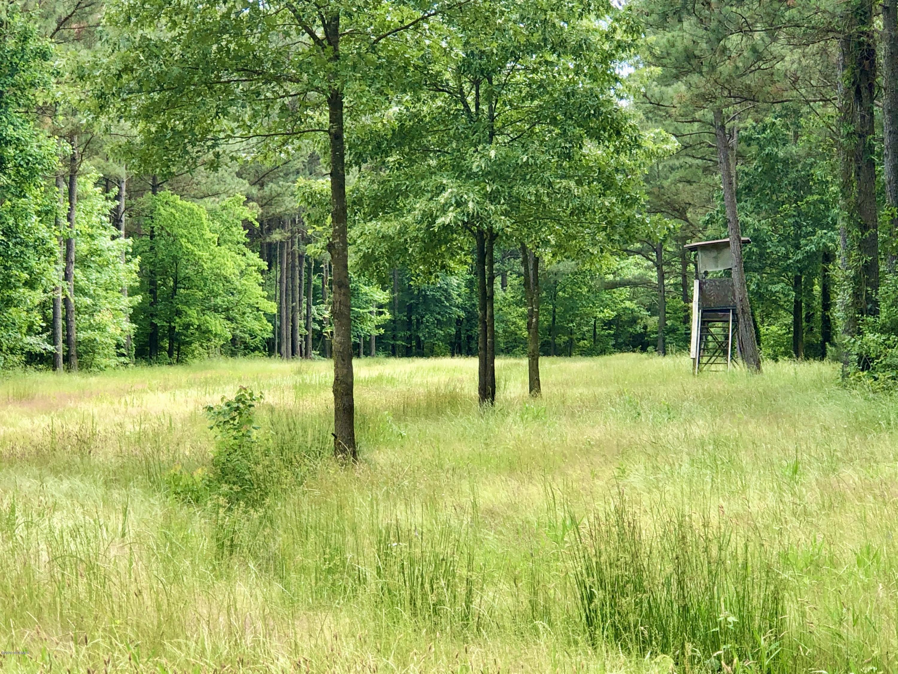 Lot #1 West J Duke Road Rich Square, NC 27869 - Photo 2 of 20 IMG_0336