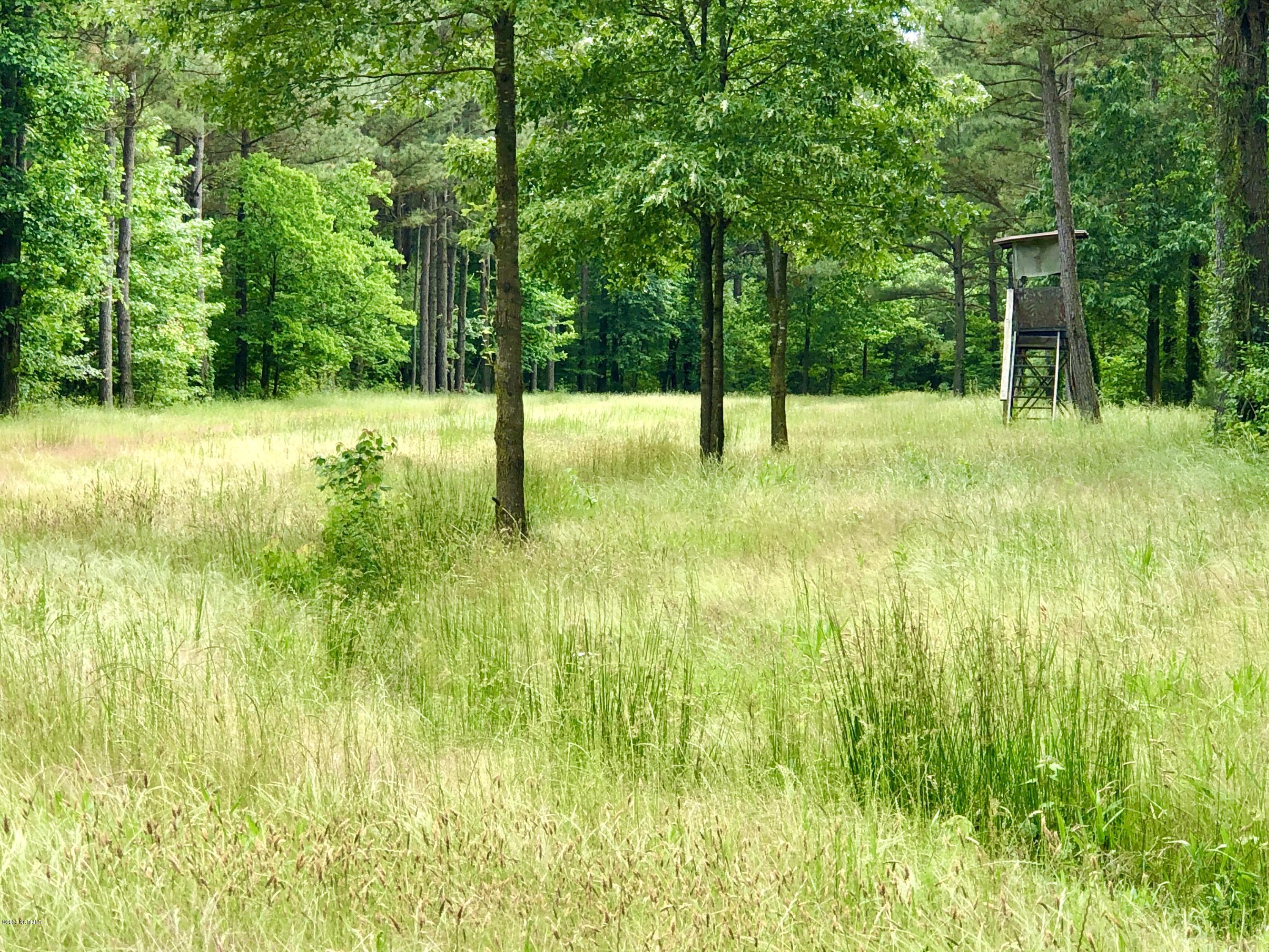 Lot #1 West J Duke Road Rich Square, NC 27869 - Photo 3 of 20 IMG_0337