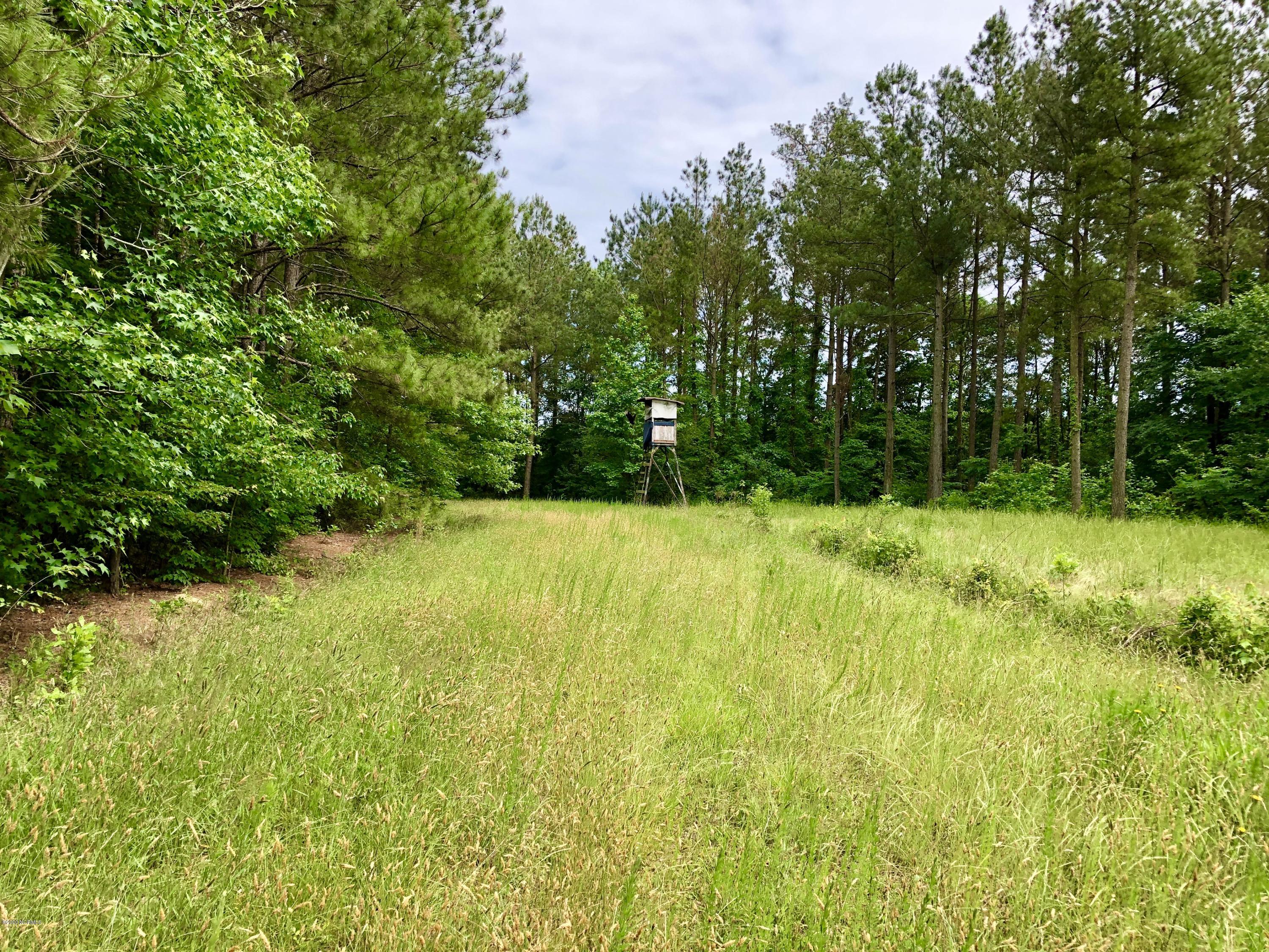 Lot #1 West J Duke Road Rich Square, NC 27869 - Photo 5 of 20 IMG_0340