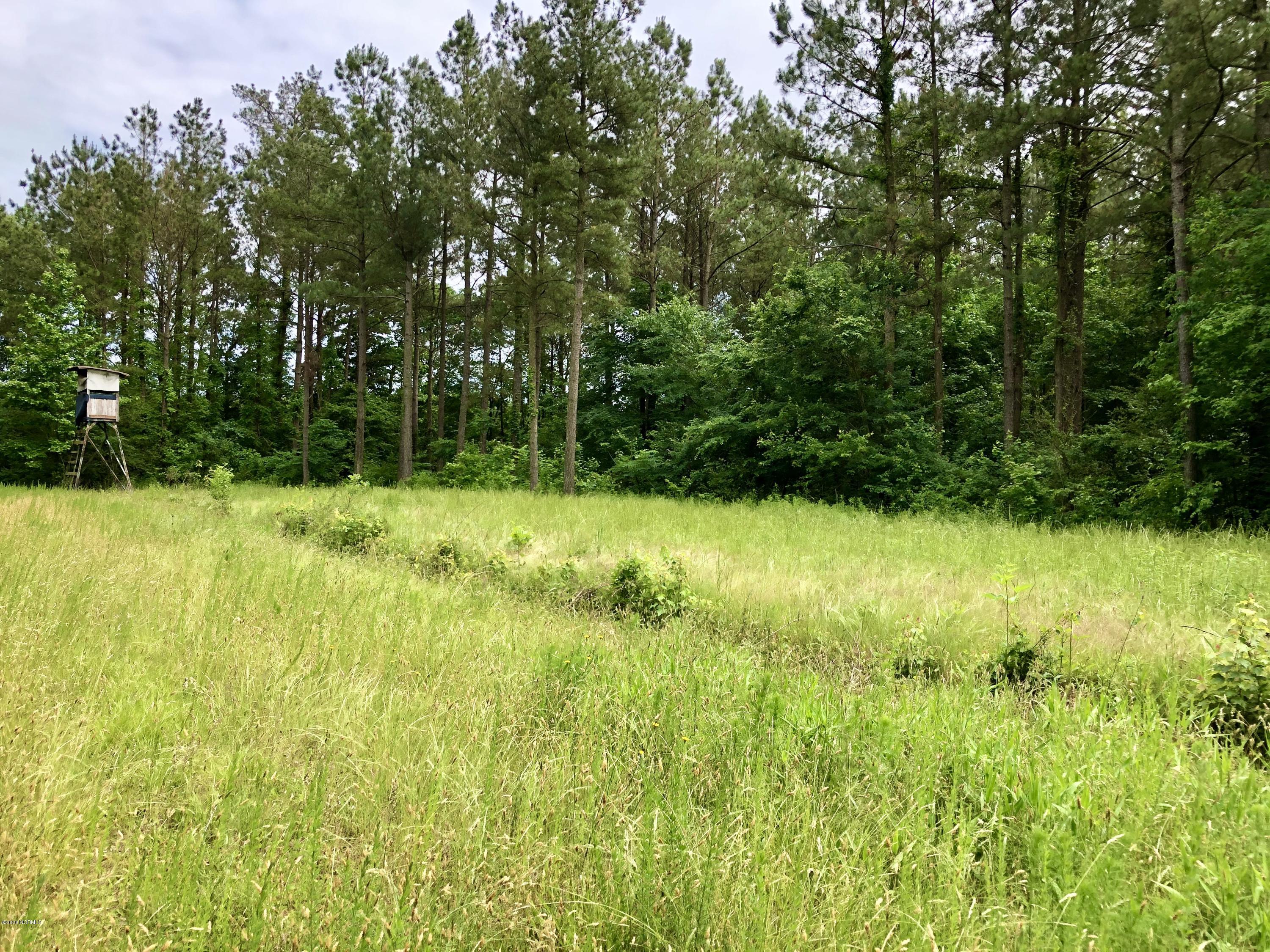 Lot #1 West J Duke Road Rich Square, NC 27869 - Photo 6 of 20 IMG_0341