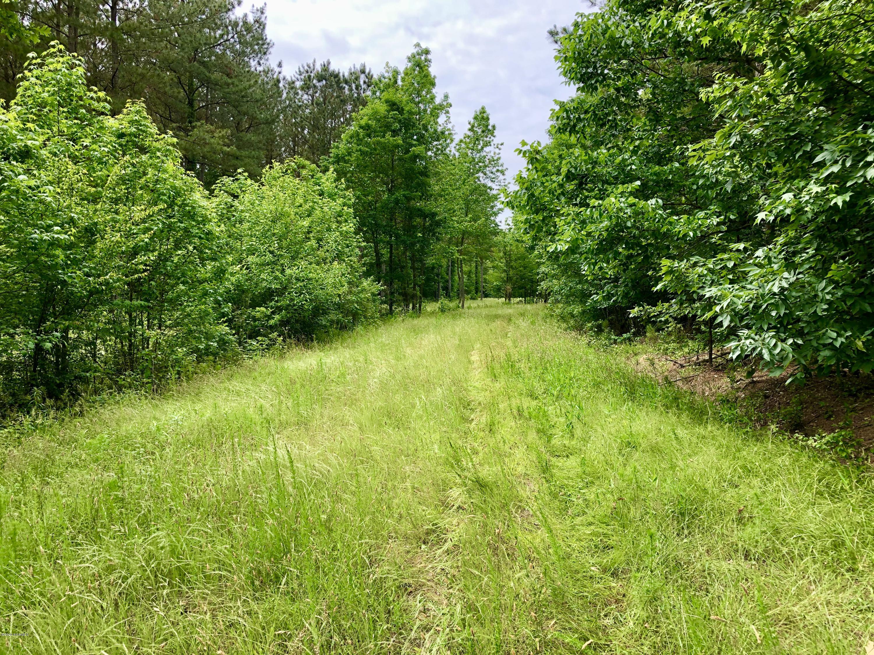 Lot #1 West J Duke Road Rich Square, NC 27869 - Photo 7 of 20 IMG_0342