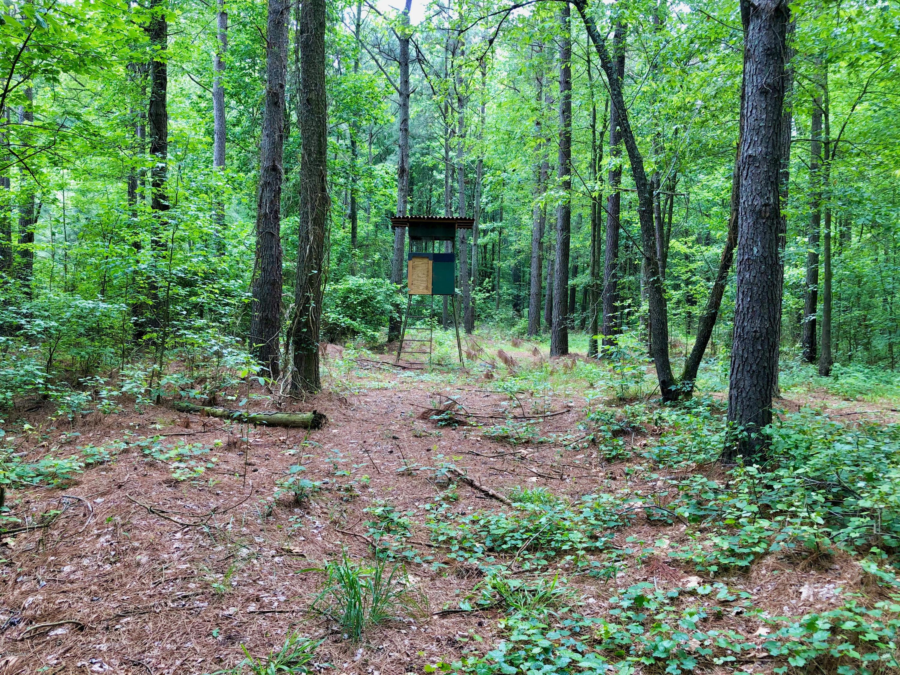 Lot #1 West J Duke Road Rich Square, NC 27869 - Photo 8 of 20 IMG_0343