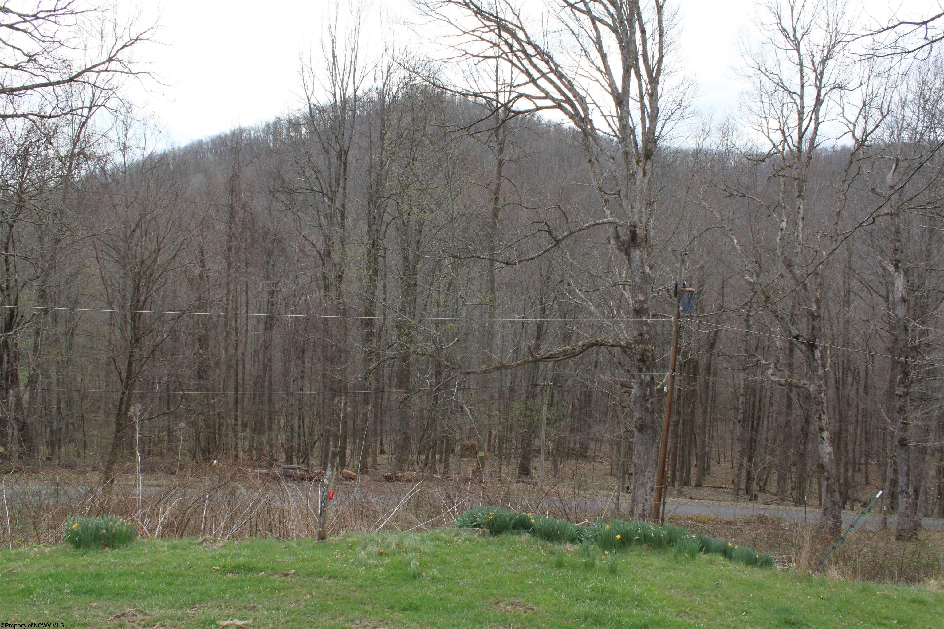 238 Excelsior Road Webster Springs, WV 26288 - Photo 21 of 24 Gallery Image 21