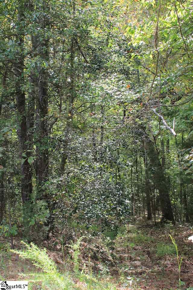 27100 Stockton Road Fountain Inn, SC 29644 - Photo 5 of 15