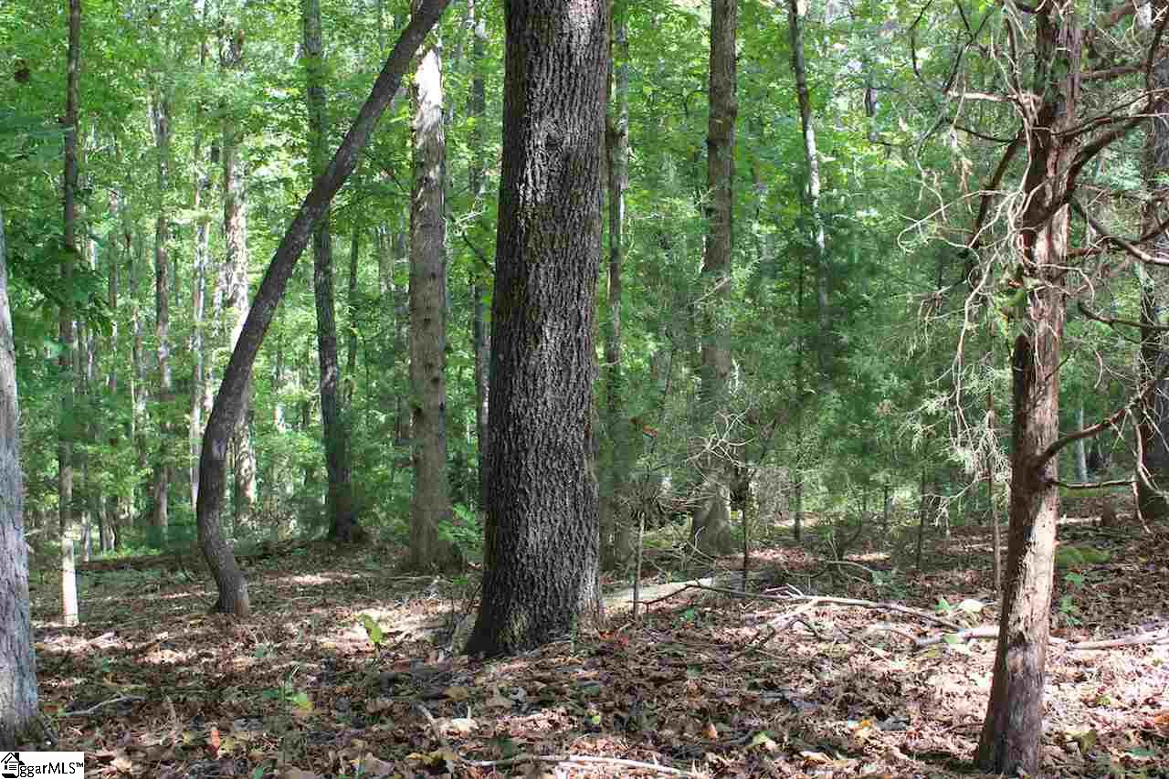 27100 Stockton Road Fountain Inn, SC 29644 - Photo 9 of 15