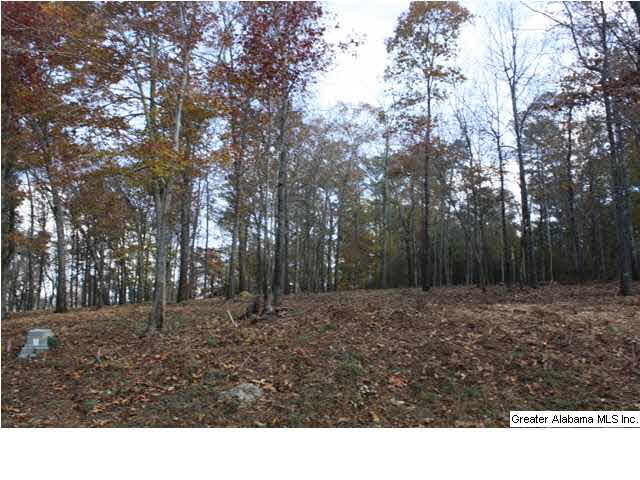 Peyton Place, Unit 3 Weaver, AL 36277 - Photo 24 of 40