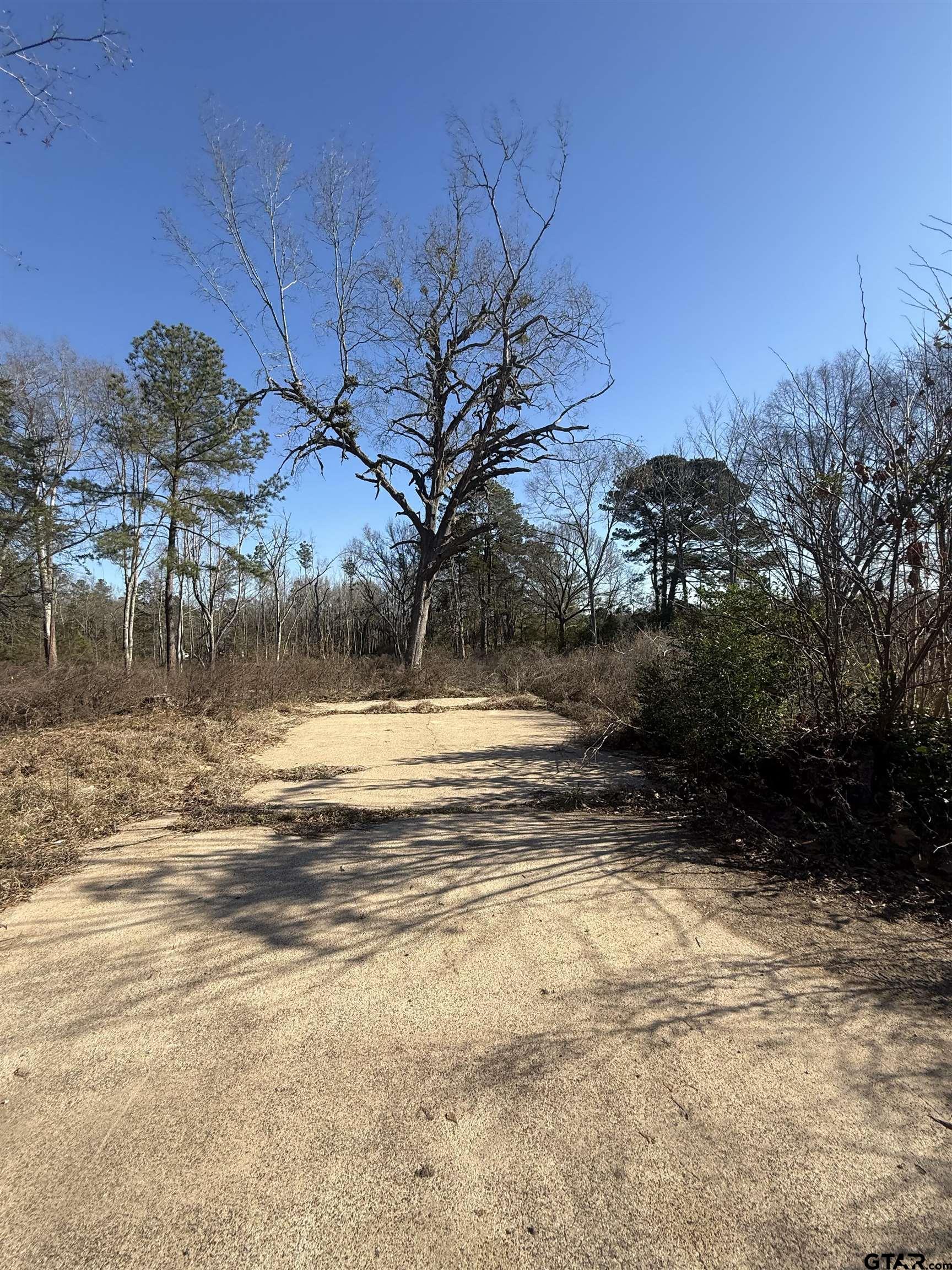 513 State Highway 323 Overton, TX 75684 - Photo 4 of 6 a view of a yard with a tree