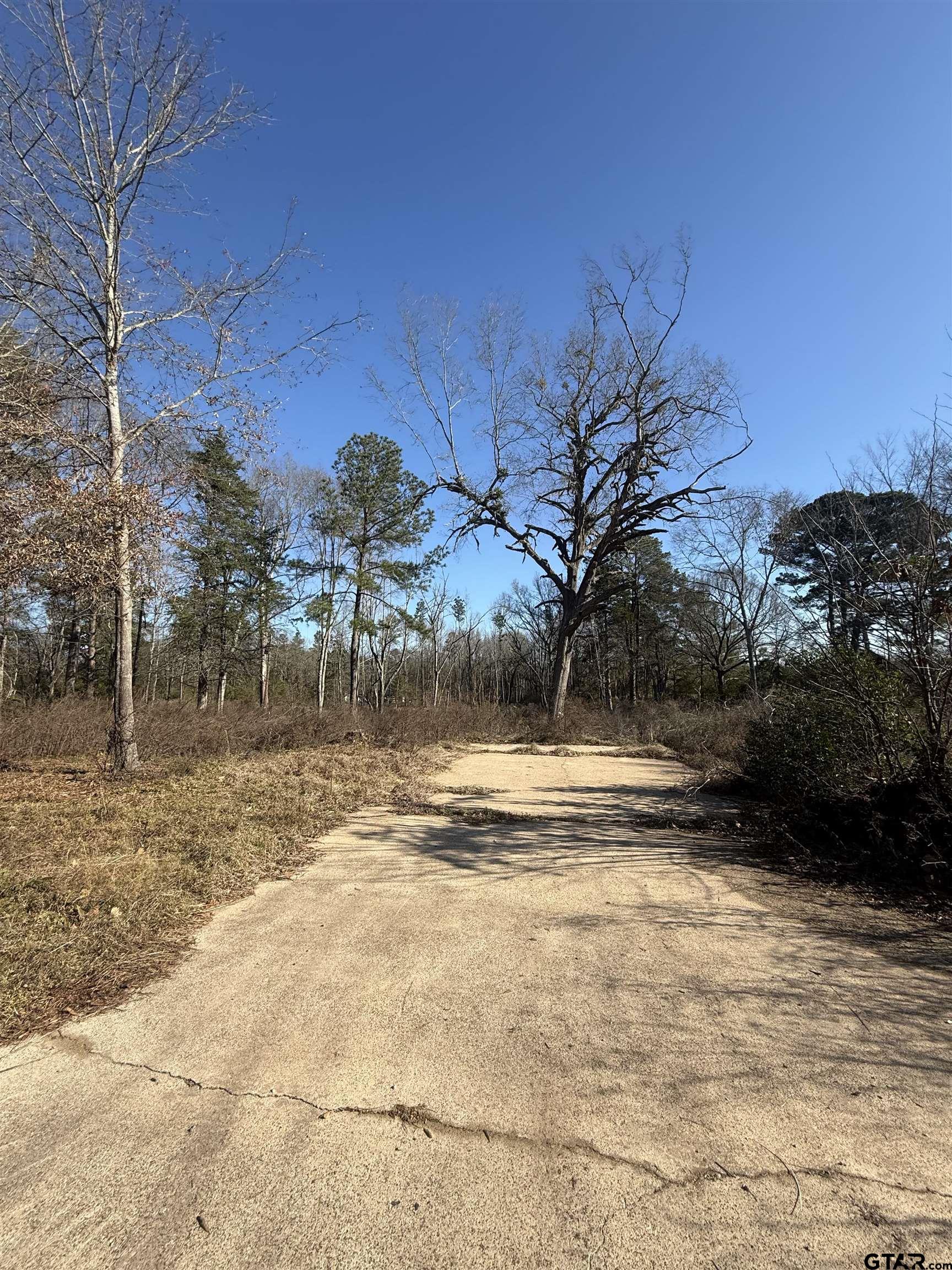 513 State Highway 323 Overton, TX 75684 - Photo 6 of 6 a view of a yard with wooden fence