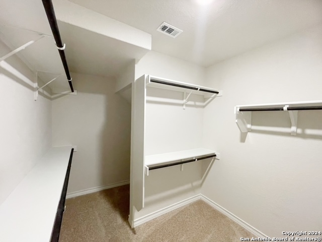 5015 Dancing Gopher San Antonio, TX 78261 - Photo 14 of 43 a view of an empty walk in closet