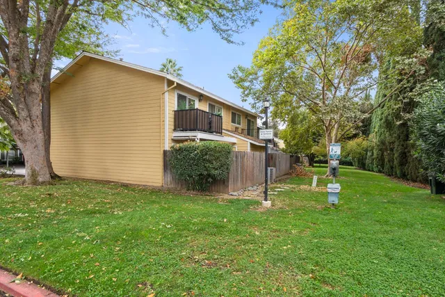 a view of a tree in a park