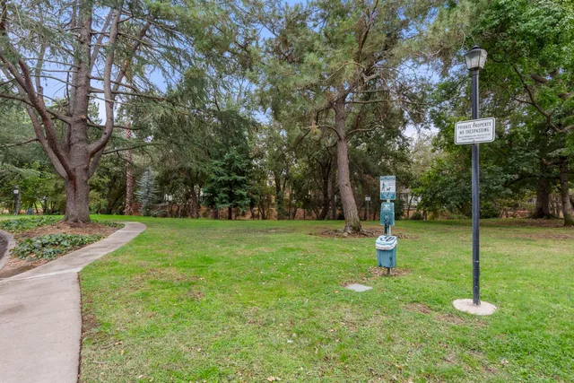 a view of a park with large trees