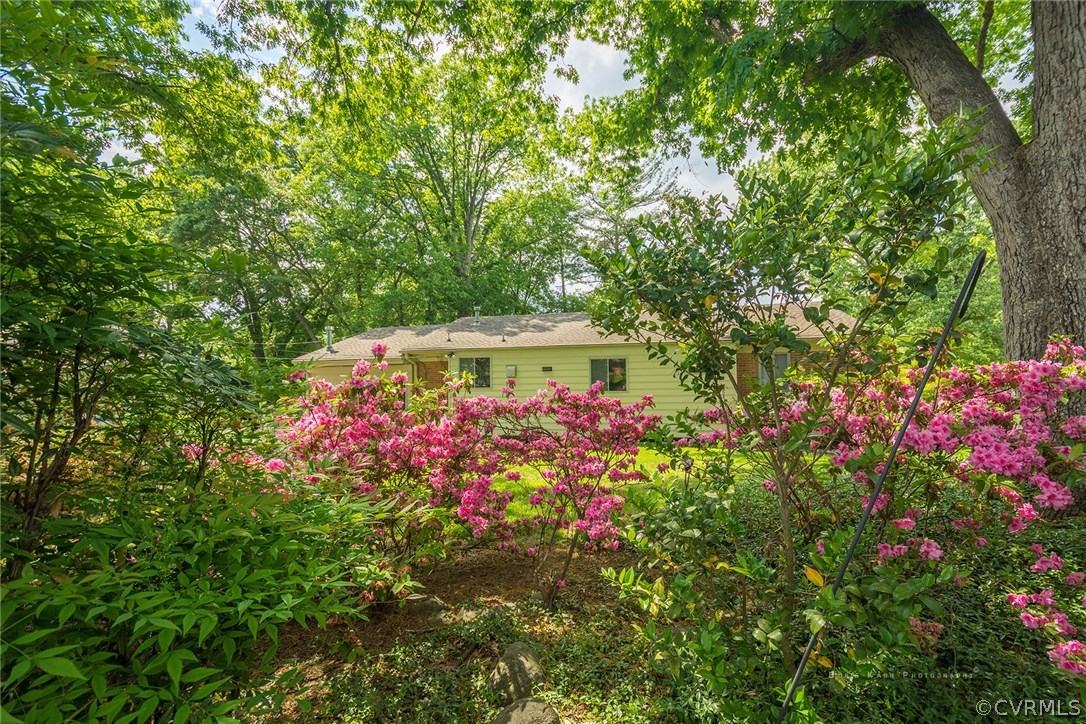 2307 Cranbrook Road Henrico, VA 23229 - Photo 17 of 18 a picture of flowers