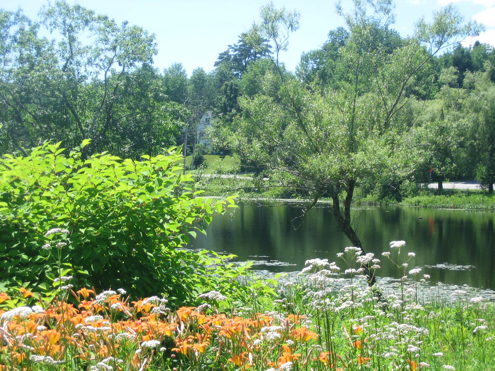 32 Lower Falls Road Orland, ME 04472 - Photo 14 of 22 View from Lot