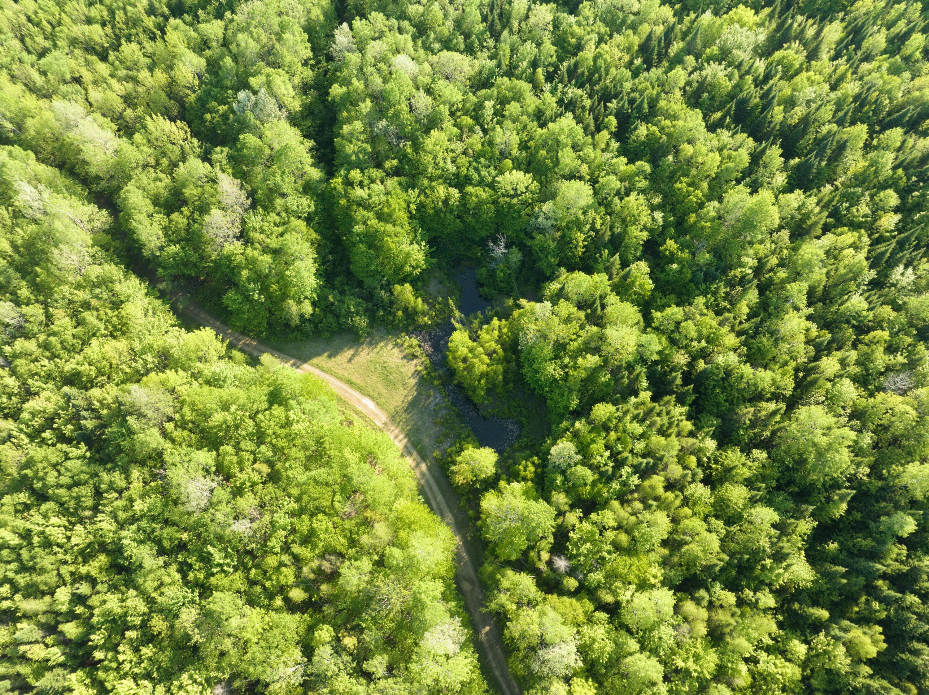 0 Dixie Road Wytopitlock, ME 04497 - Photo 18 of 22