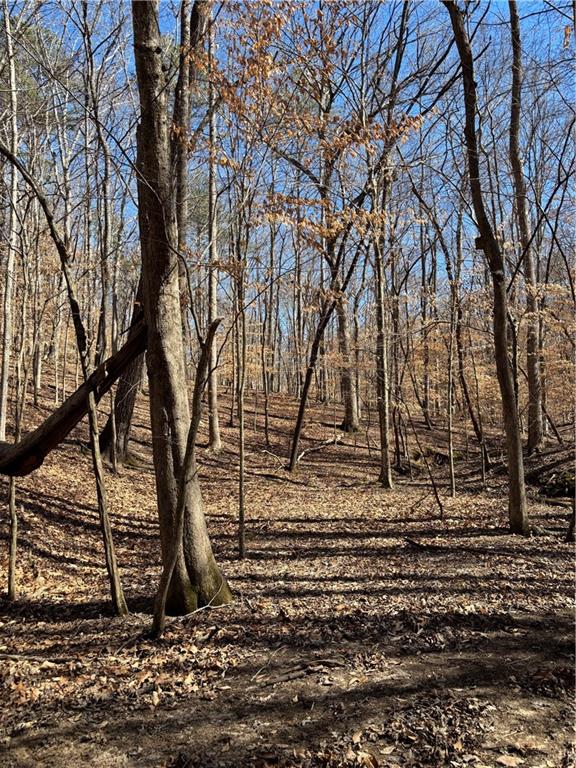 5670 Kennedy Road Suwanee, GA 30024 - Photo 2 of 7