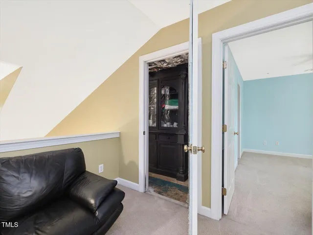 a view of a yard with plants