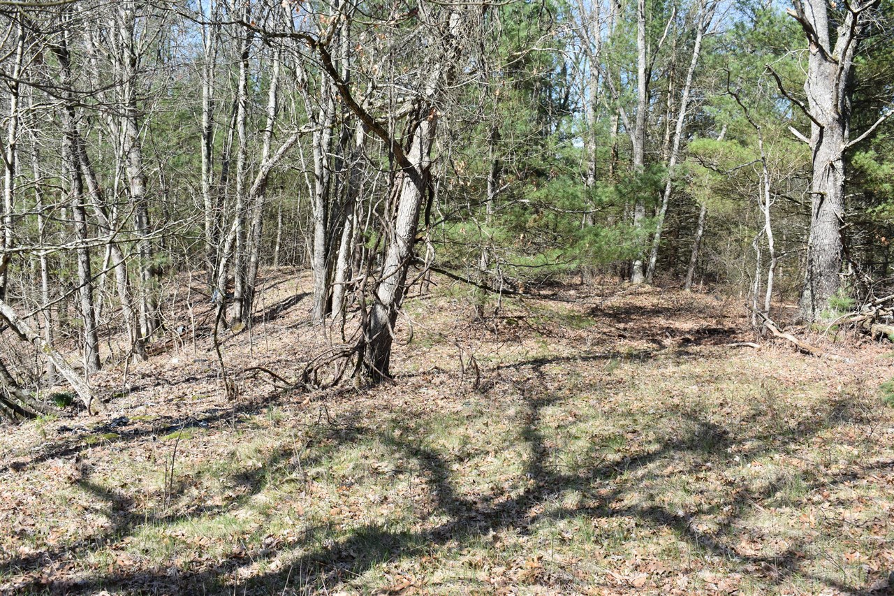 0 South Walhalla Road Fountain, MI 49410 - Photo 6 of 11