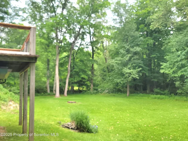 a view of a backyard with a bench