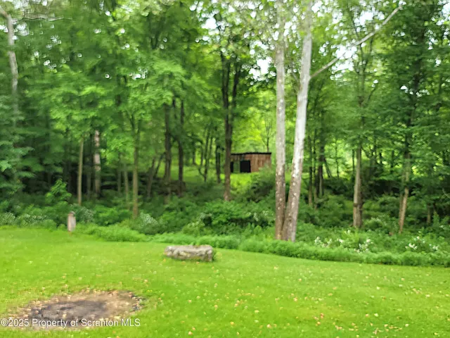 a view of a garden with a tree