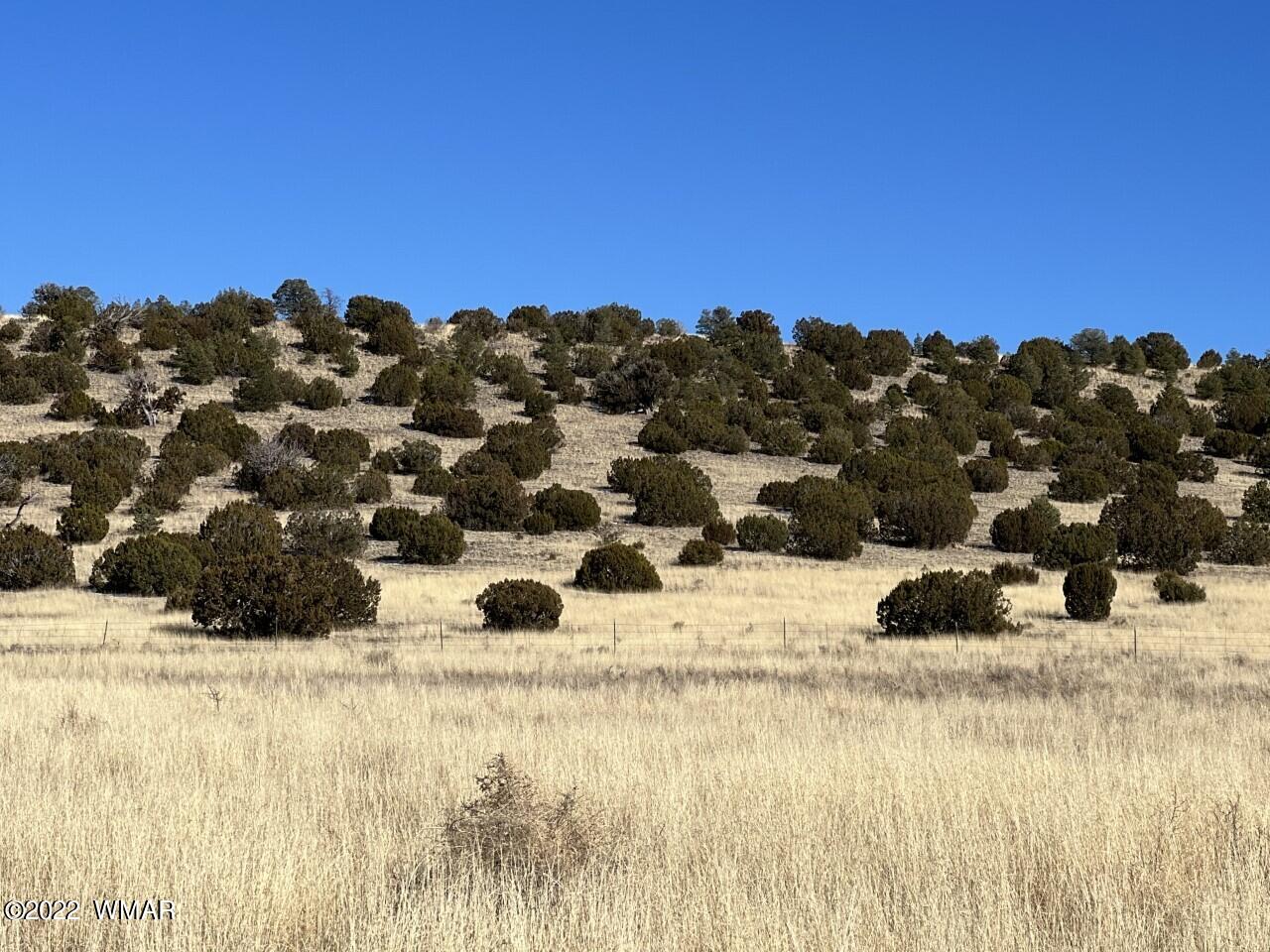 Tbd Tbd Tbd Street Springerville, AZ 85938 - Photo 1 of 5