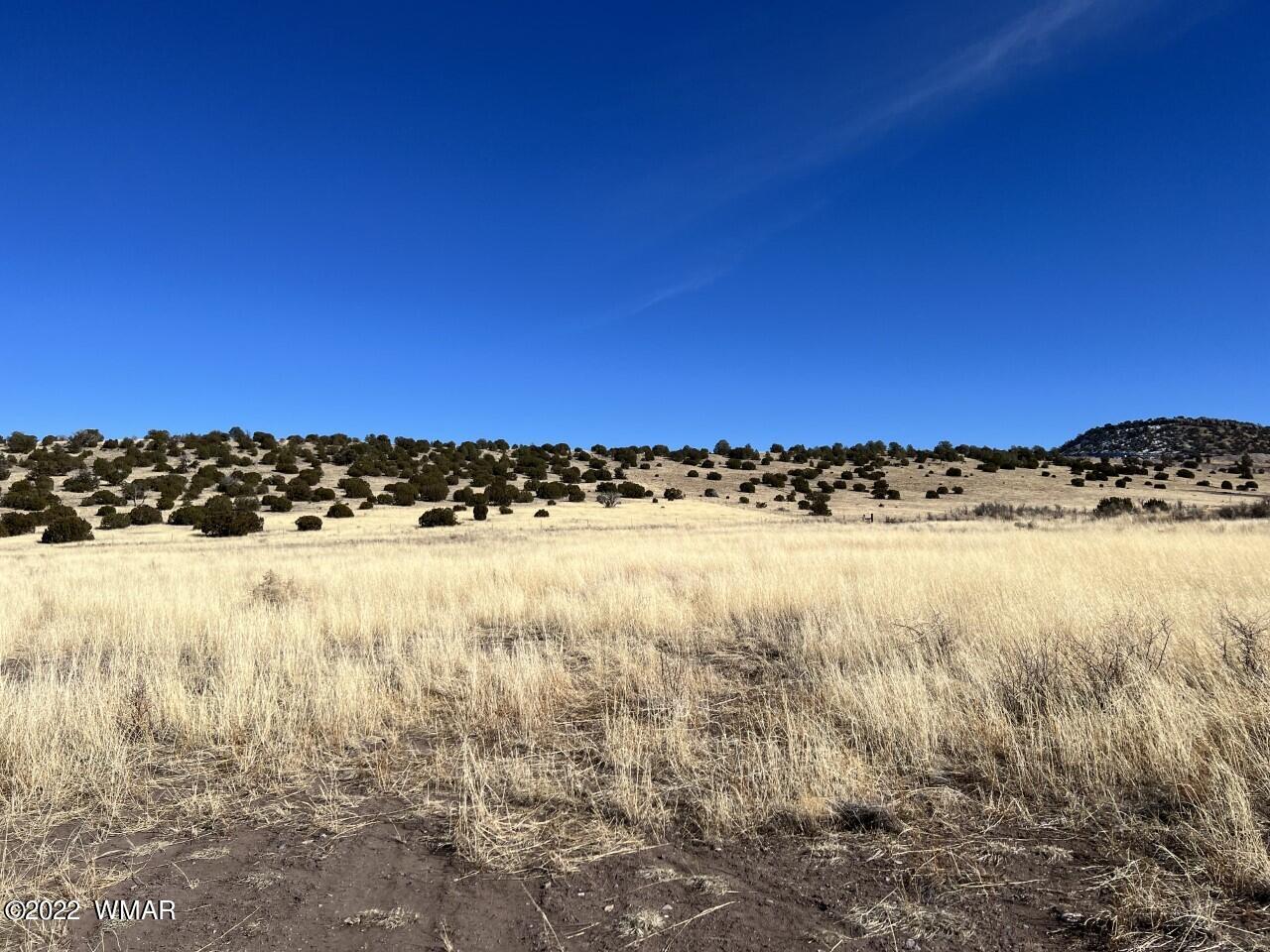 Tbd Tbd Tbd Street Springerville, AZ 85938 - Photo 3 of 5
