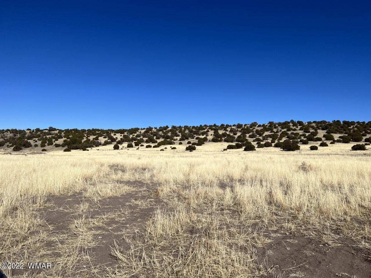 Tbd Tbd Tbd Street Springerville, AZ 85938 - Photo 4 of 5