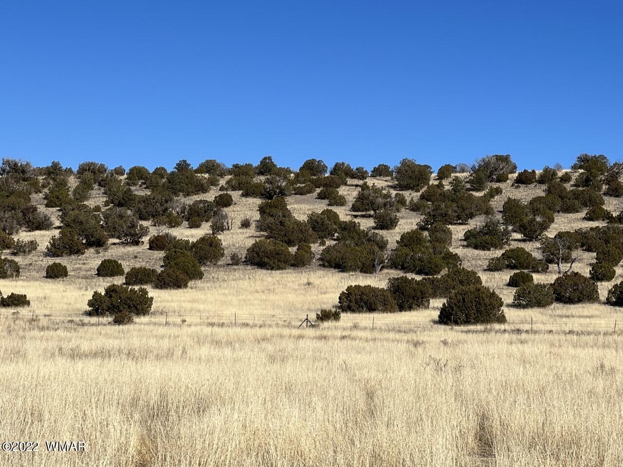 Tbd Tbd Tbd Street Springerville, AZ 85938 - Photo 5 of 5