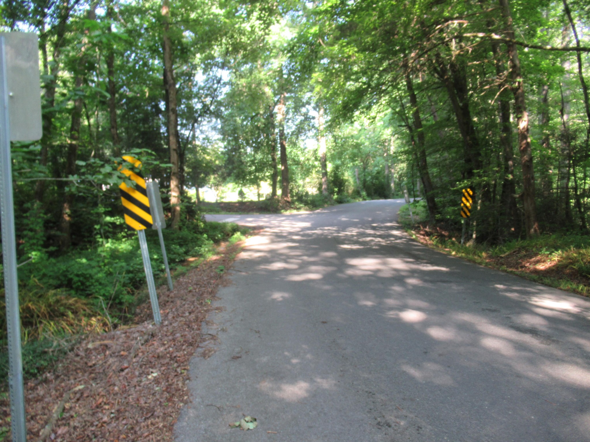 4 Rocky Flats Road Cosby, TN 37722 - Photo 13 of 18 a view of a yard with plants and trees