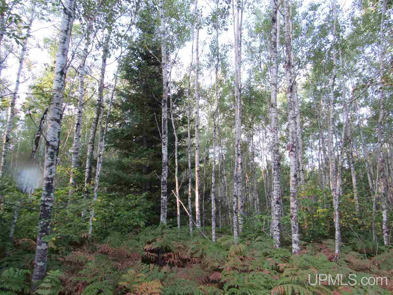 Tbd Tbd Off Casey Lake Road Ishpeming, MI 49849 - Photo 7 of 8